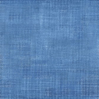 VORBESTELLUNG EP Checker Denim #15