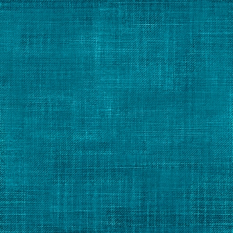 EP Checker Denim #20 - Vorbestellung